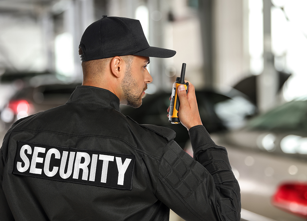 security-systems-and-services